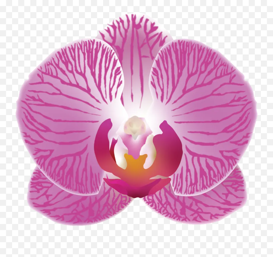 The Case For More Plantmoji - Moth Orchid Emoji,Rice Emoji