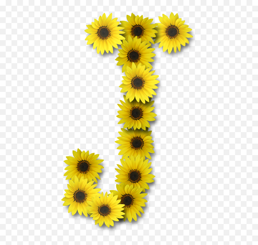 Letter J - J Sunflower Emoji,J Emoji