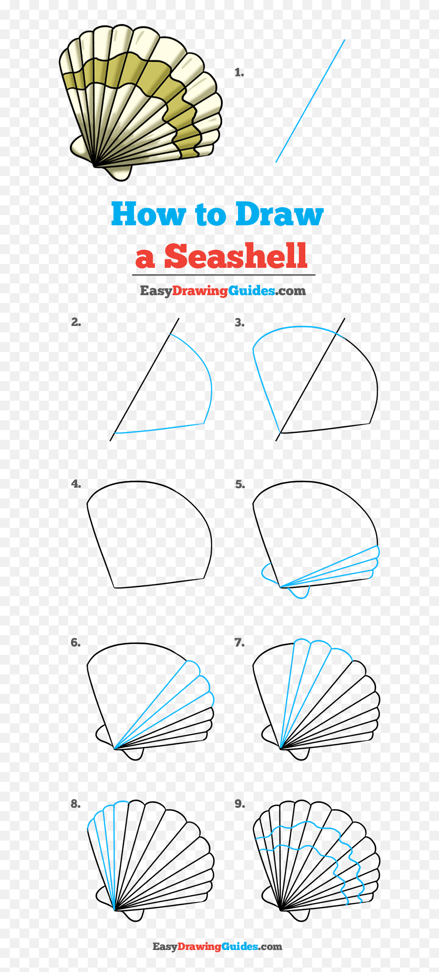 How To Draw A Seashell - Easy Seashell Drawing Emoji,Seashell Emoji