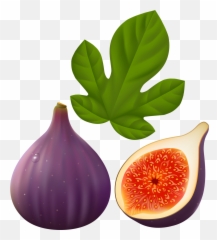 Mango Clipart Common Fruit Mango - Png Clipart Figs Clipart Transparent Emoji,Mango Emoji