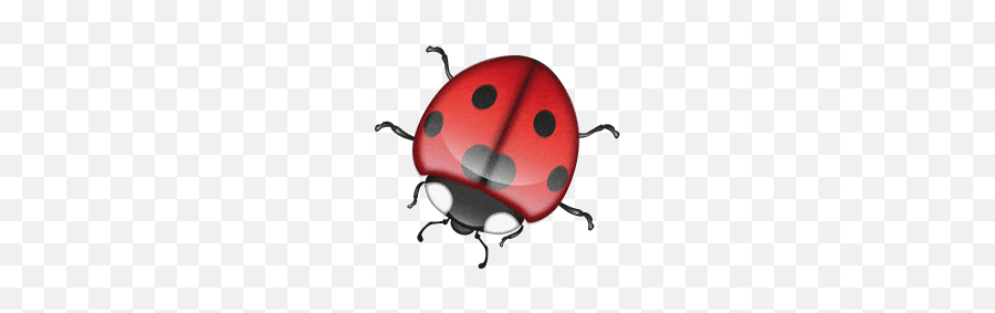 Emoji - Ladybug,Ladybug Emoji