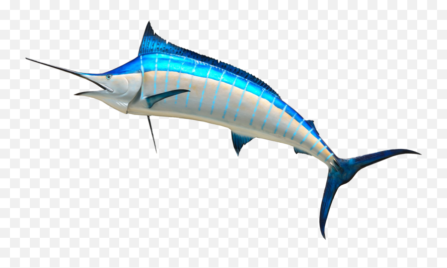 28798 Library Free Clipart - Arnold High School Marlin Emoji,Swordfish Emoji