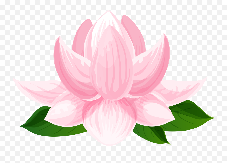 Transparent Lotus Flower Clipart - Sacred Lotus Emoji,Lotus Flower Emoji