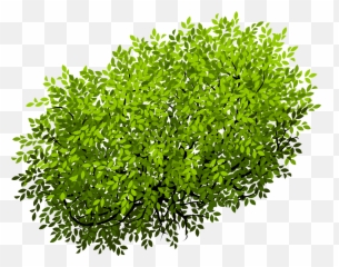 Euclidean Vector Shrub Tree - Top Png Emoji