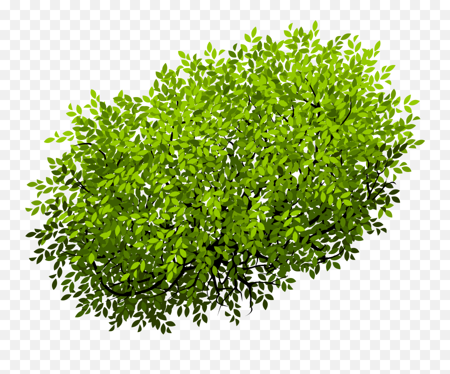 Euclidean Vector Shrub Tree - Shrub Top Png Emoji,Shrub Emoji