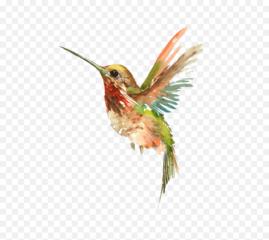 Tattoo Flying Watercolor Painting Bird - Watercolor Hummingbirds Emoji,Hummingbird Emoticon