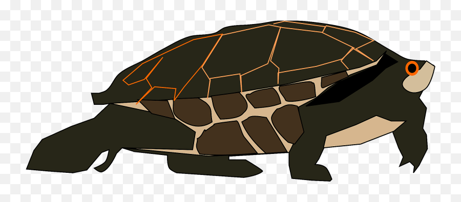 Turtle Clipart - Chelonoidis Emoji,Turtle Emoji