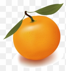 Orange Juice Free Content Clip Art - Png Download Full Clementine Clipart Transparent Emoji