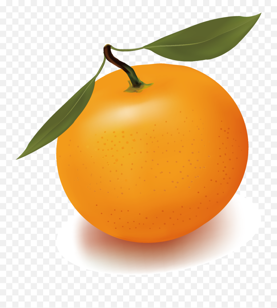 Orange Juice Free Content Clip Art - Png Download Full Clementine Png Clipart Transparent Emoji,Juice Emoji