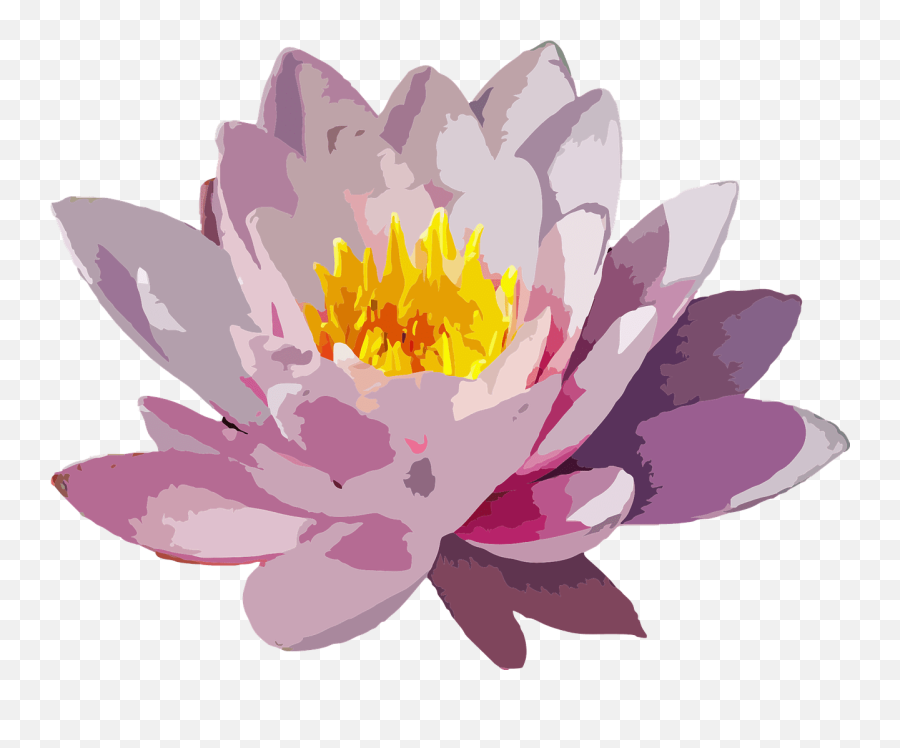 Httpskellymartinspeakscouk201403top - 10self Water Lily Watercolor Png Emoji,Emoji Ejaculation
