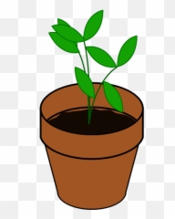 Vector Image Of Simple Plant In A Terracotta Pot - Claim Evidence Reasoning Practice Worksheets Science Emoji,Pot Leaf Emoji