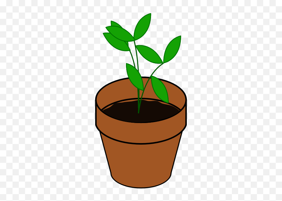 Vector Image Of Simple Plant In A Terracotta Pot - Claim Evidence Reasoning Practice Worksheets Science Emoji,Pot Leaf Emoji