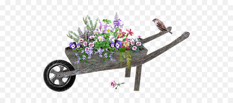 1000 Free Out U0026 Cut Out Illustrations - Pixabay Wheel Barrow With ...