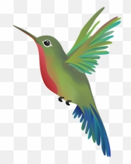 Hummingbird Png - Wandering Hummingbird Massage Emoji,Sex Emoji