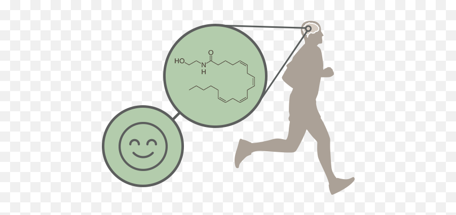 How And Why It Works - Atleta Corredor Emoji,Workout Emoticon