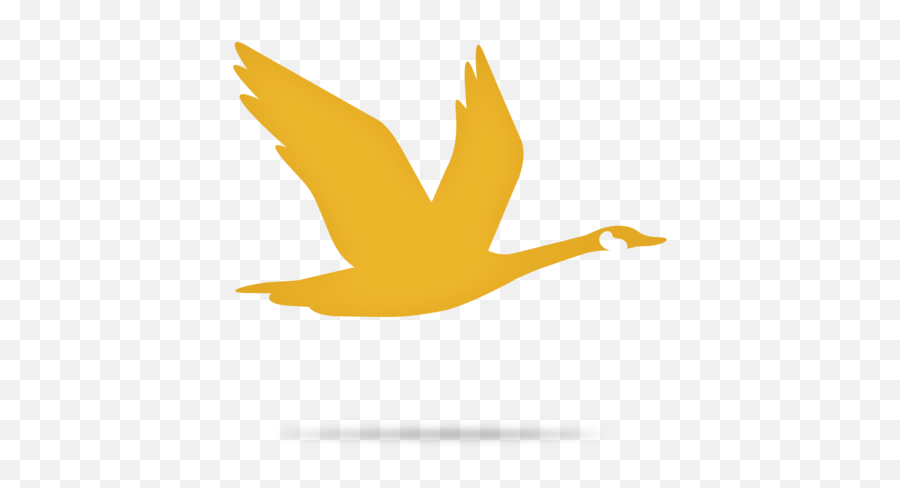 Find Jeopardy Games About Logos - Wawa Bird Logo Emoji,Turtle Bird Guess The Emoji