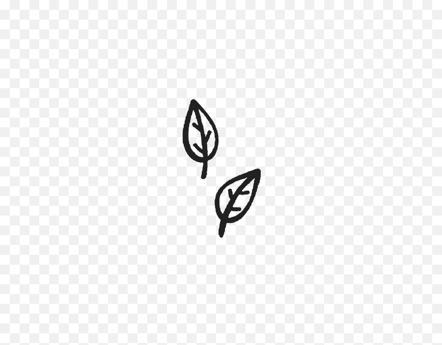 Leaf Sketch Png Emoji,Sketch