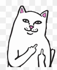 Ripndip Cat Crazycat Obscene - Ripndip Middle Finger Cat Emoji,Obscene Emoji