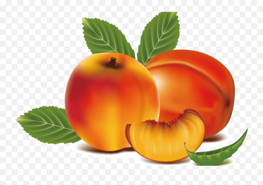 Peach Clipart Apricot Free Clipart On - Nektarine Clipart Emoji,Apricot Emoji