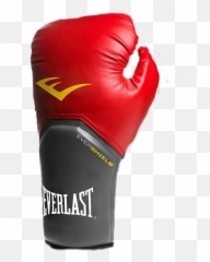 Glove Boxing Boxingglove - Everlast Emoji,Boxing Emoji