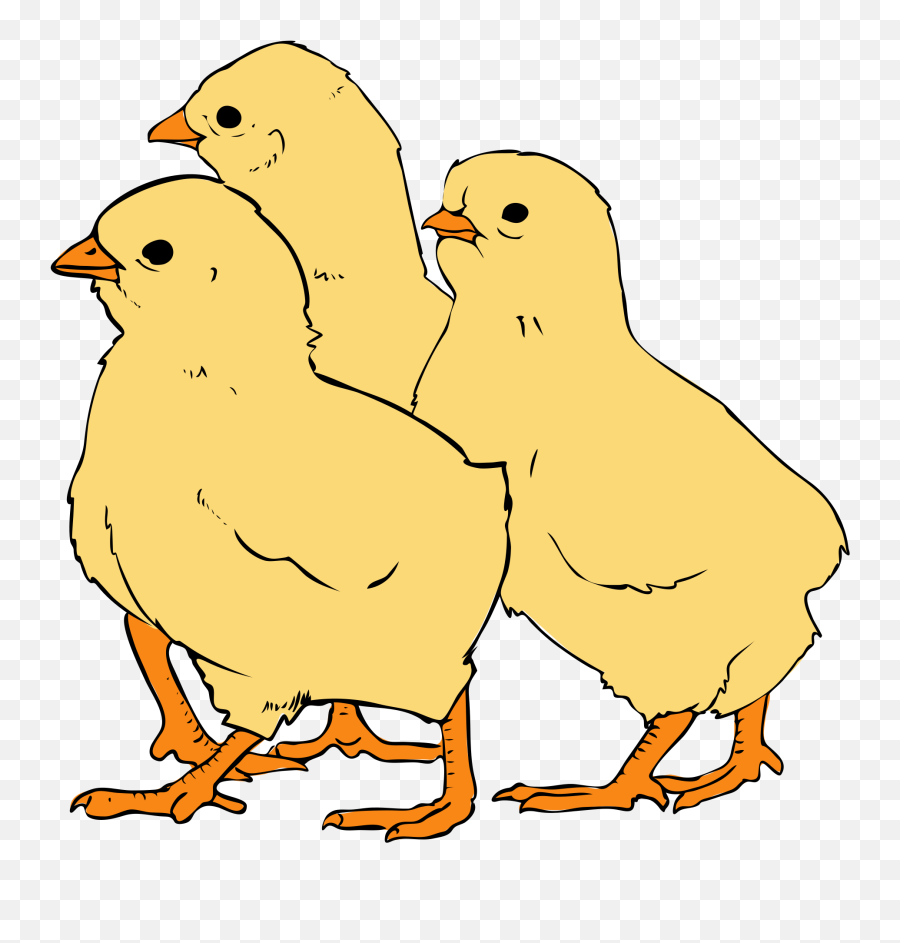 Chick Clipart Png - Clipart Image Of Chickens Emoji,Baby Chick Emoji