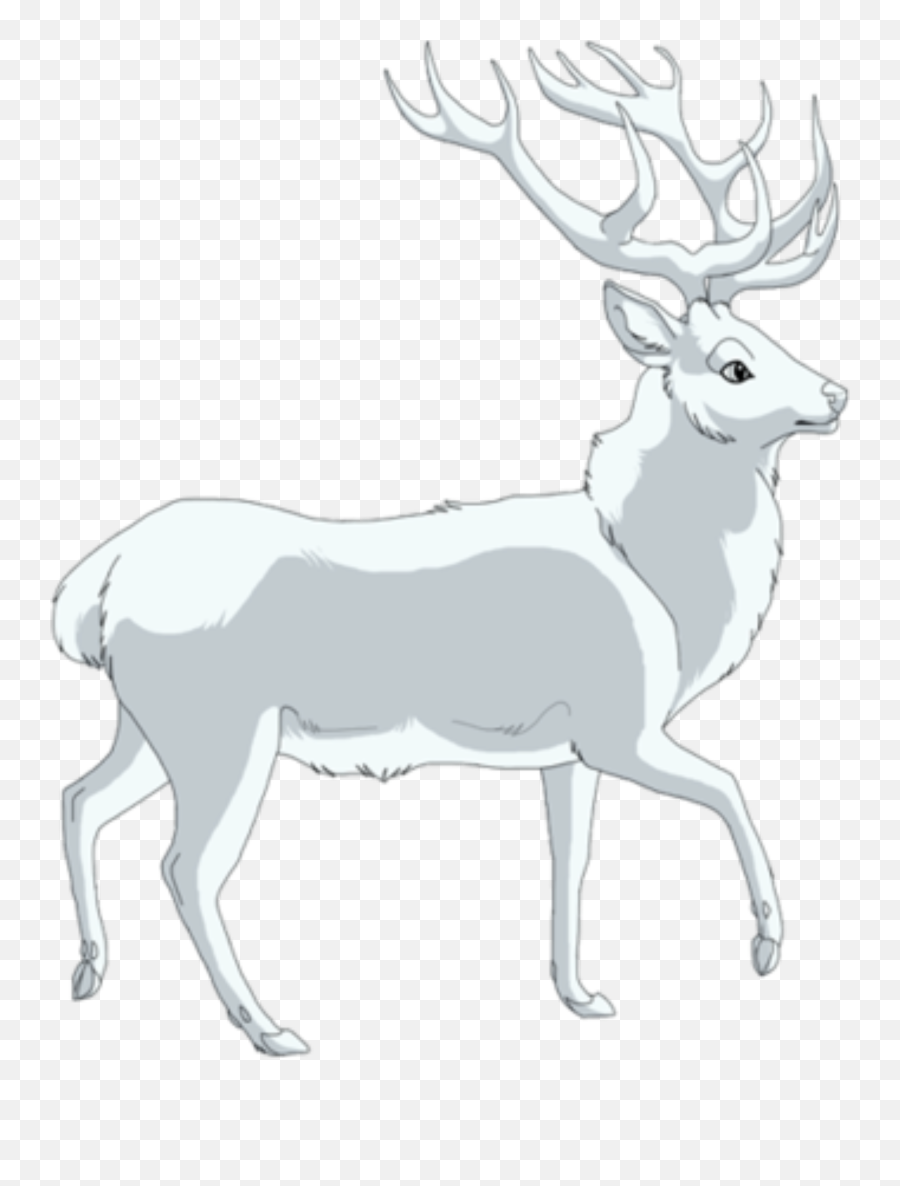 Buck Stag Deer Whitedeer Sticker - Elk Emoji,Buck Deer Emoji