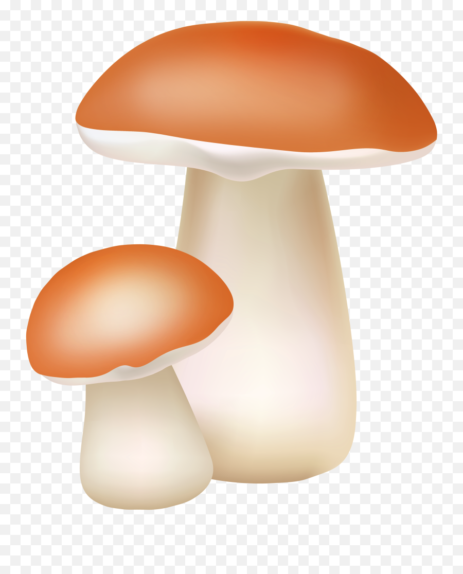 Two Mushrooms Png Cliaprt Clipart - Png Clipart Mushroom Png Emoji,Mushroom Cloud Emoji