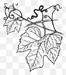 Tendril Vector Illustration - Vine Leaves Line Drawing Emoji,Pot Leaf Emoji