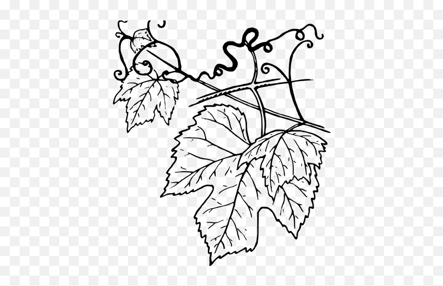Tendril Vector Illustration - Vine Leaves Line Drawing Emoji,Pot Leaf Emoji