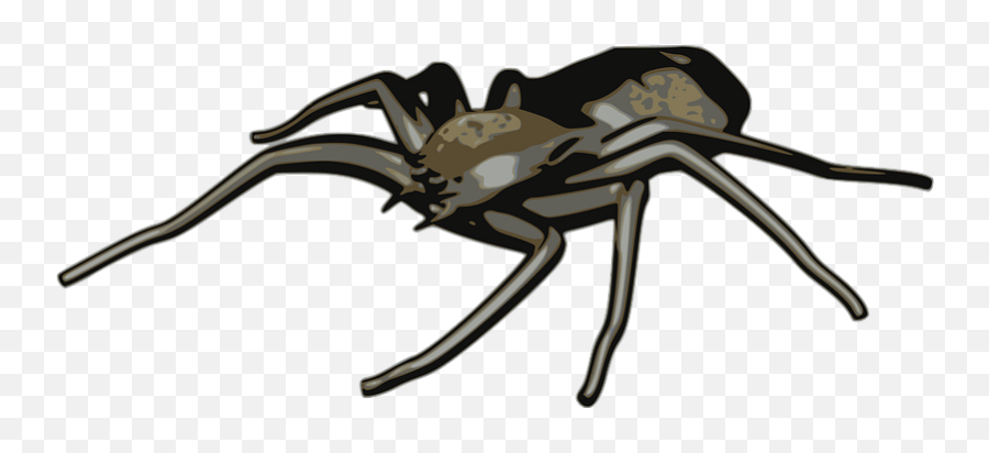 Clipart - Spider Emoji,Black Widow Emoji