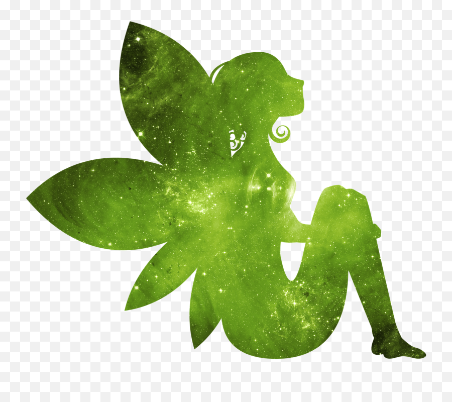 Fairy Galaxy Fairy Galaxy Star Space - Fairy Garden Logo Png Emoji,Magic Lamp Emoji