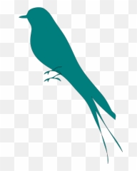 Free Spring Bird Vectors - Transparent Mockingbird Silhouette Emoji