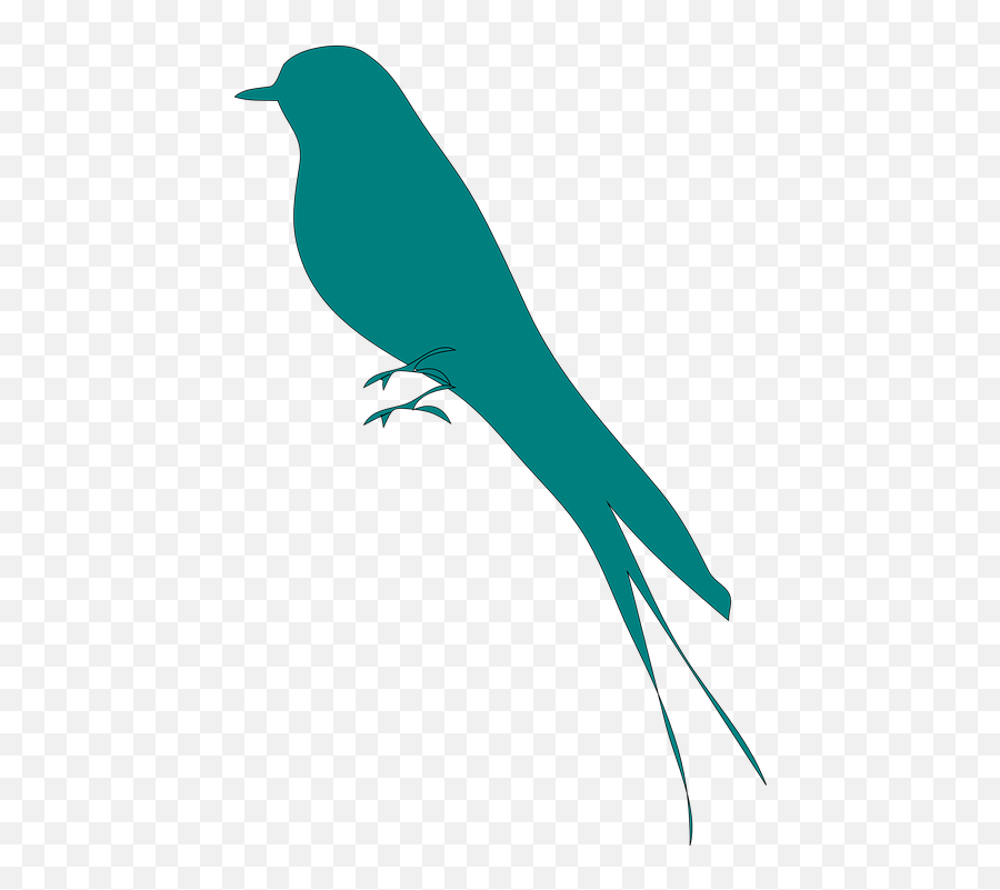 Free Spring Bird Spring Vectors - Transparent Mockingbird Silhouette Emoji,Cardinal Emoticon