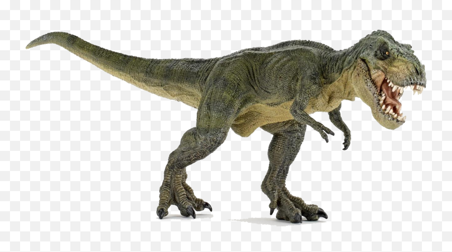 T Rex Dinosaurs Png Transparent T Rex Dinosaurspng Images - Dinosaur With Transparent Background Emoji,Dino Emoji