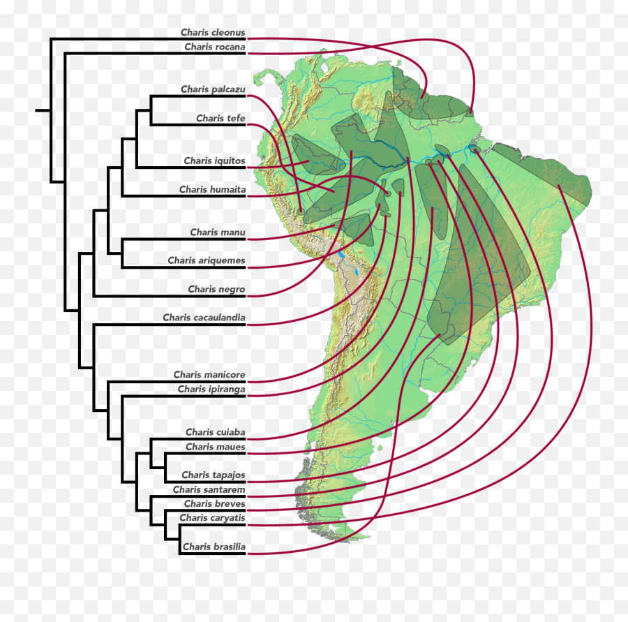 Allopatric Speciation - Finches Migration In The Galapagos Islands Emoji,Text Emoticons Meanings