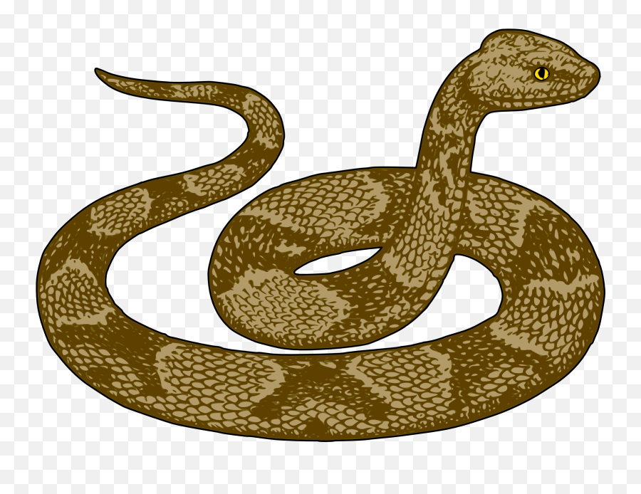 Snake Clipart Snakes And Ladders - Desert Snake Clipart Emoji,Snake Emoji Png