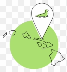 Hawaiian Monk Seals Left Clipart - Illustration Emoji,Monk Emoji