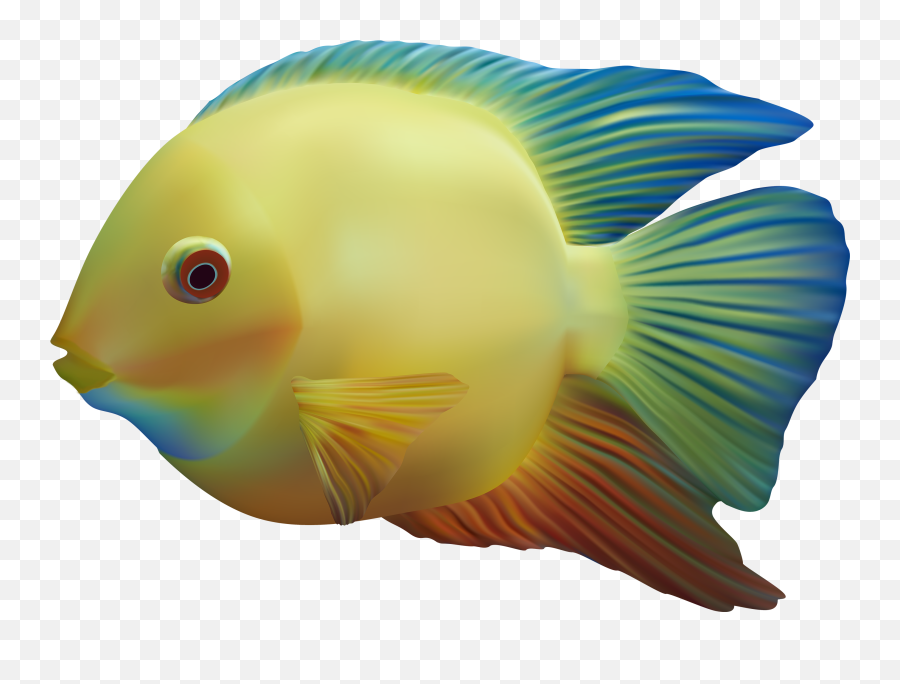 Emoji Clipart Fish Emoji Fish - Transparent Background Ocean Fish Png,Cage Emoji