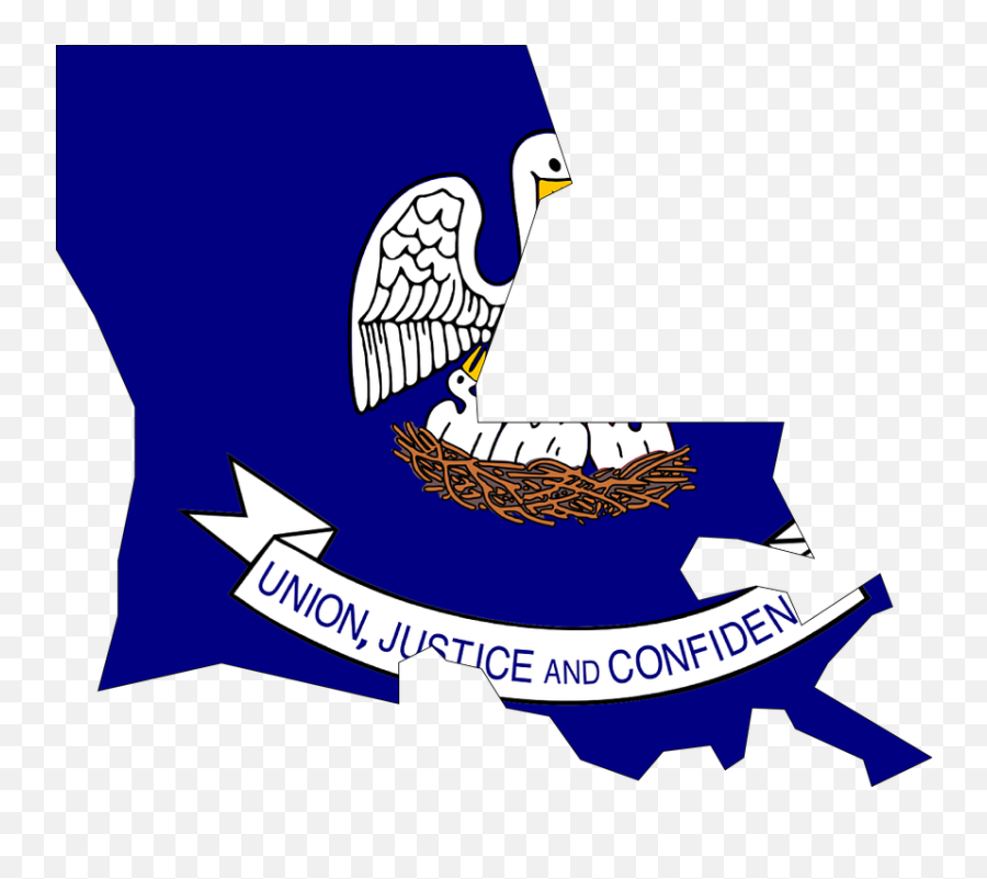 Lungs Clipart Asbestos Lungs Asbestos - Louisiana State Flag 2016 Emoji,Louisiana Flag Emoji