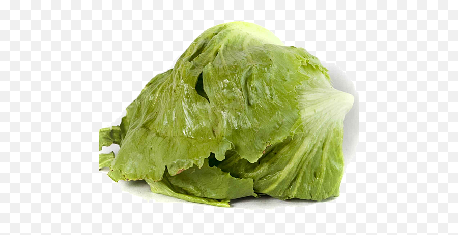 The Best Free Lettuce Icon Images - Iceburg Lettuce Emoji,Kale Emoji