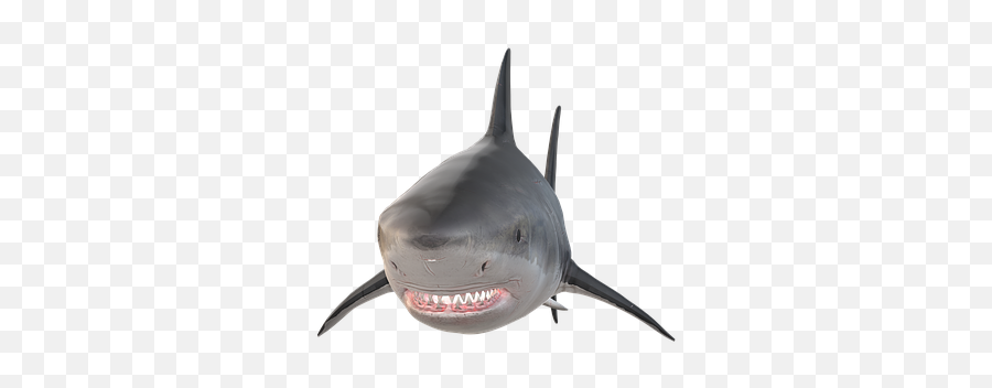 Free Hai Shark Illustrations - Bull Shark Emoji,Swordfish Emoji