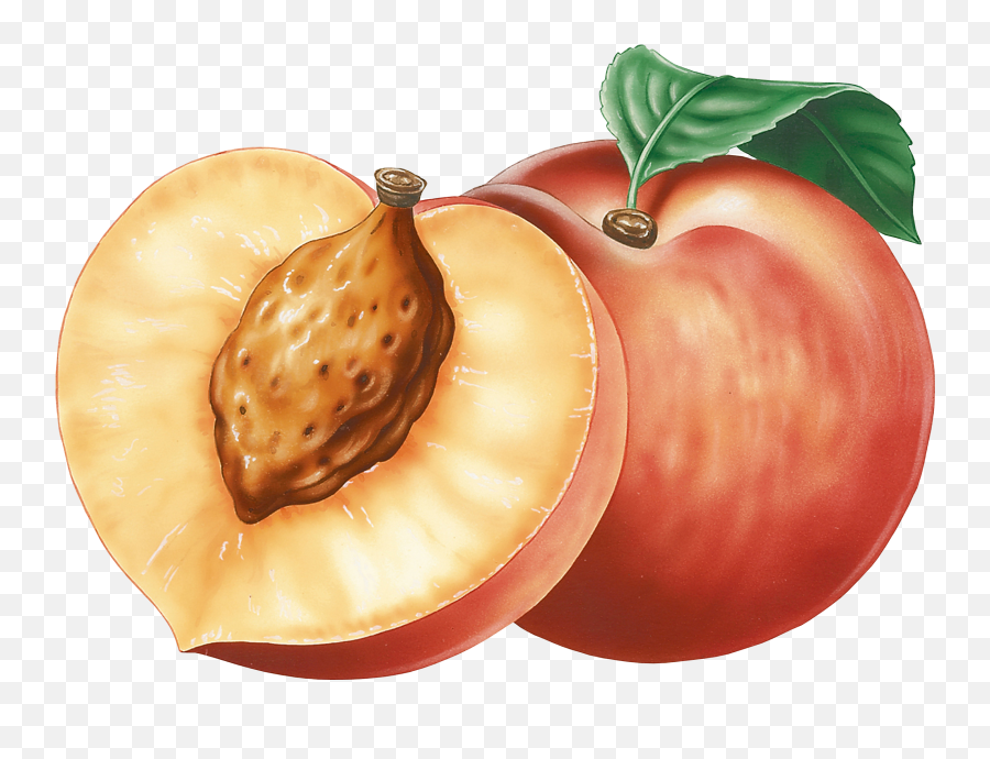 Peach Vector Free At Getdrawings - Peaches Clipart Png Emoji,Peach Emoji Background