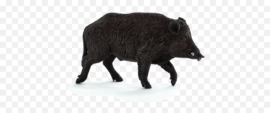 Boar Png - Wild Pig Transparent Background Emoji,Wild Boar Emoji