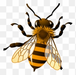 Pics For Honey Bee Drawing Clip Art - Transparent Background Honey Bee Clipart Emoji,The Green Hornet Emoji