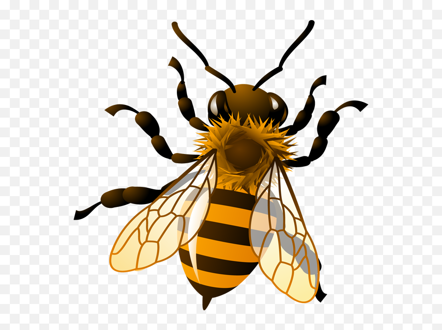 Pics For Honey Bee Drawing Clip Art - Transparent Background Honey Bee Clipart Emoji,The Green Hornet Emoji