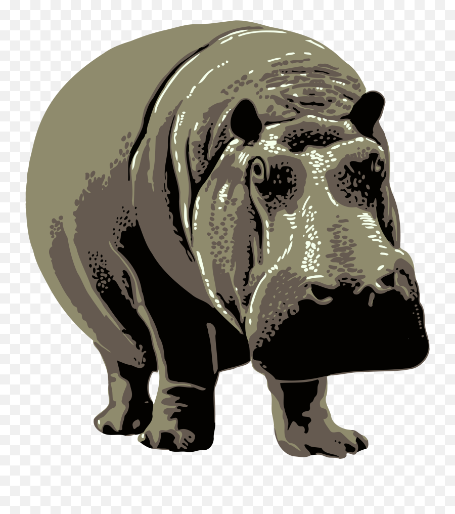 Gray Standing Hippopotamus Vector - Visit The Zoo Poster Emoji,Shower Toilet Emoji