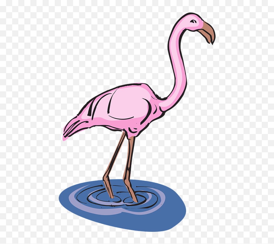 Free Rosie Rosy Images - Pink Flamingos In Water Clipart Emoji,Rosie The Riveter Emoji