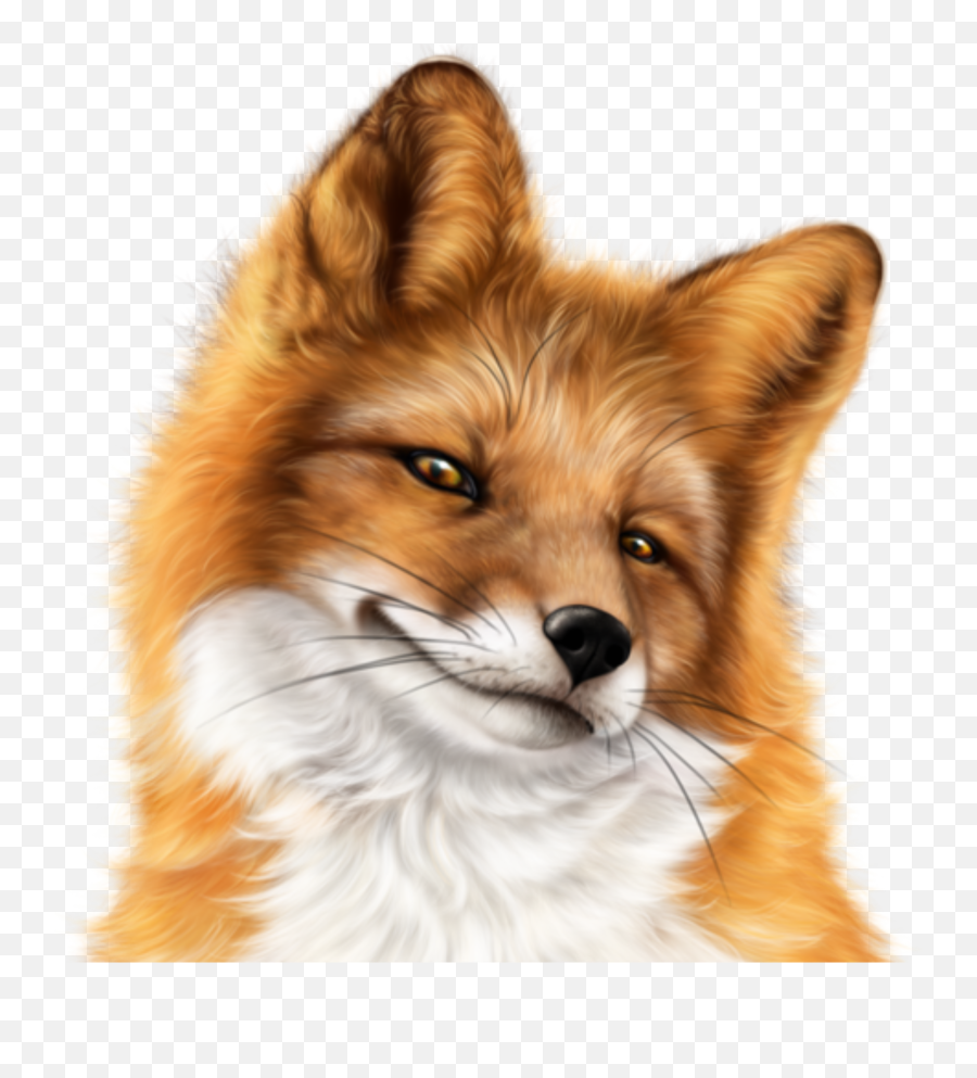 Snarky Fox Face Freetoedit Emoji,Fox Face Emoji
