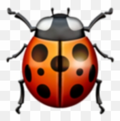 Ladybug Emoji Iphone,Ladybug Emoji