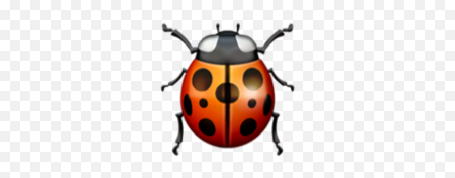 Ladybug Emoji Iphone,Ladybug Emoji